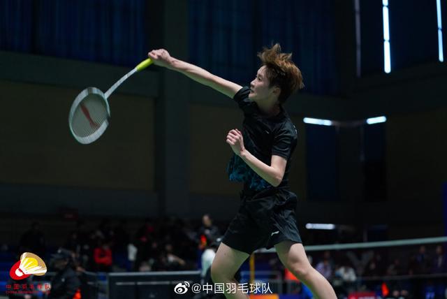 约基奇28+9+11超越篮球之神，穆雷34分超新星打铁，掘金8连斩黄蜂