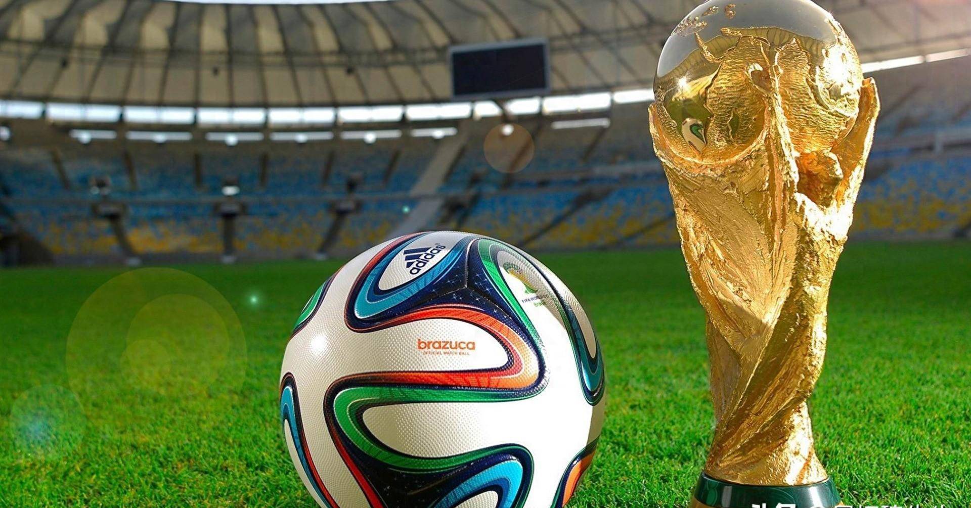 他不仅能够 他不仅能够